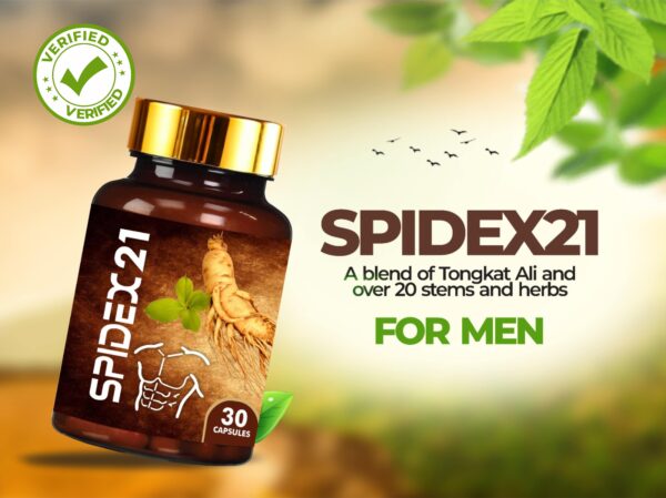 Spidex21